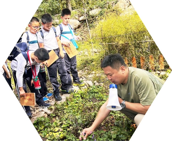 北京市朝阳区实验小学师生走进药王谷。