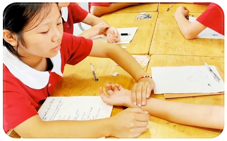 江西省赣州市章贡区第二小学(东校区)学生体验中医把脉。