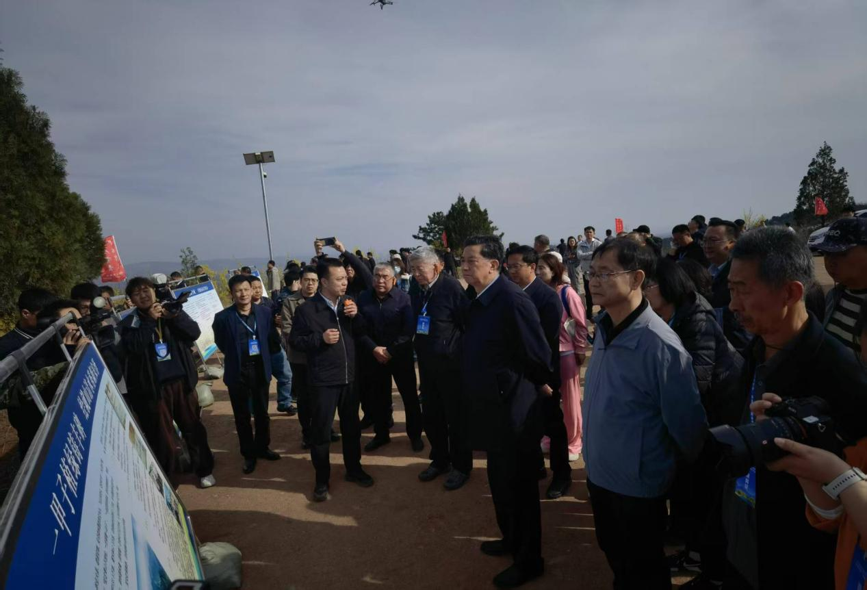 专家和企业代表在青松岭连翘基地观摩。