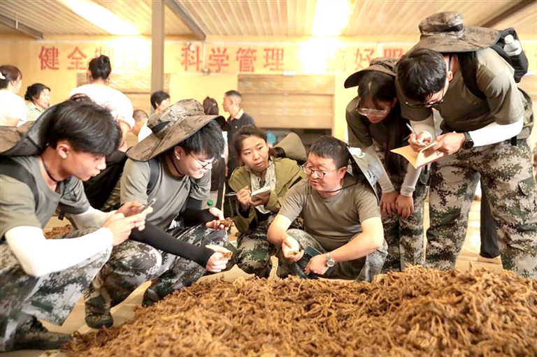 2025年,第七届科考队在重庆石柱县黄水镇黄连市场调研。 新华社发
