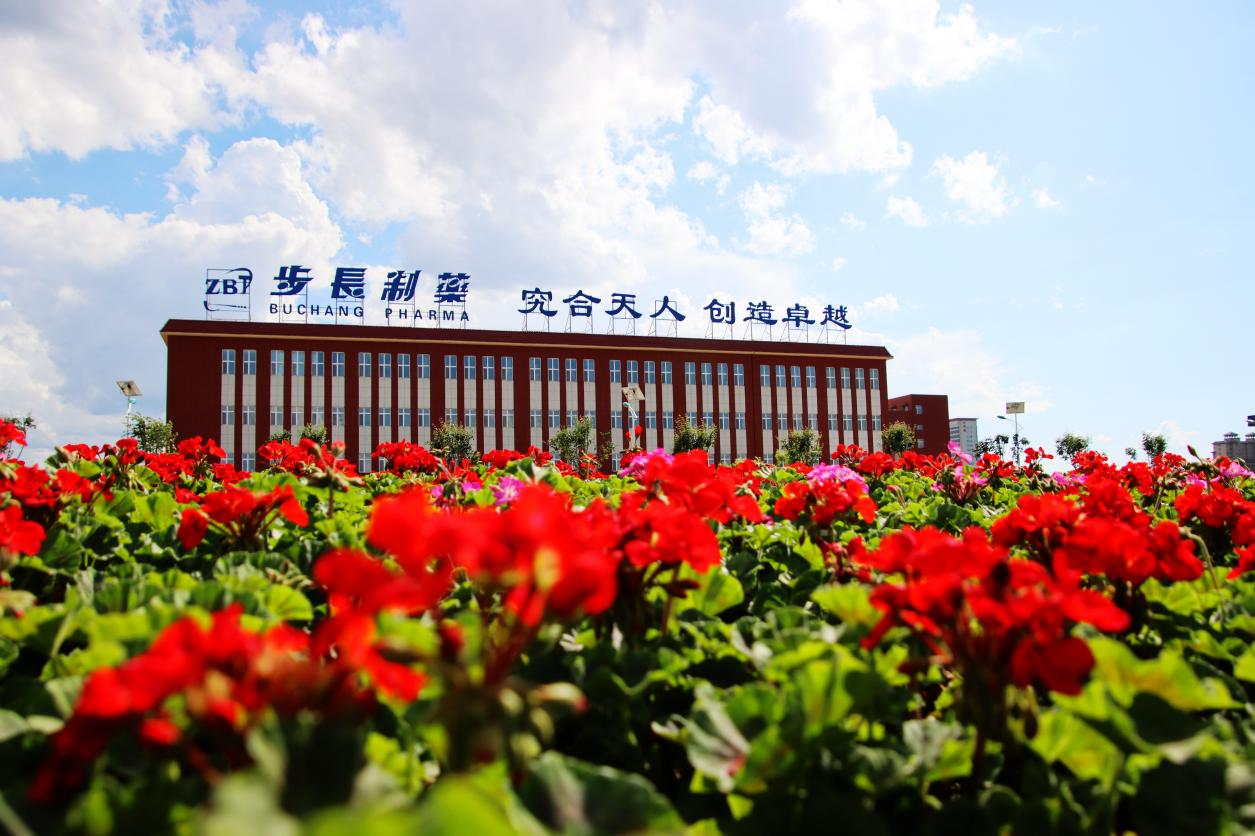 步长制药。
