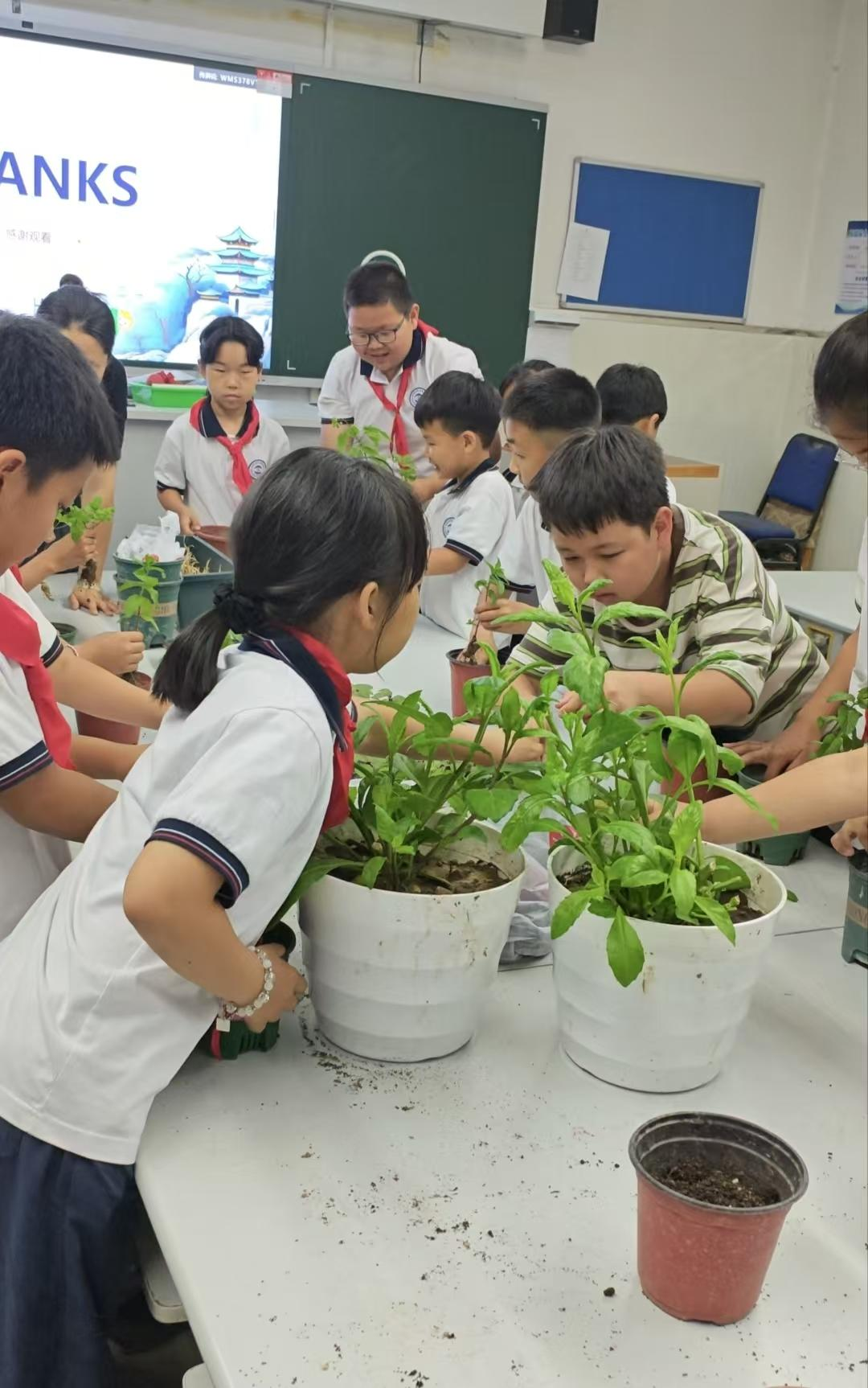 公益活动现场。