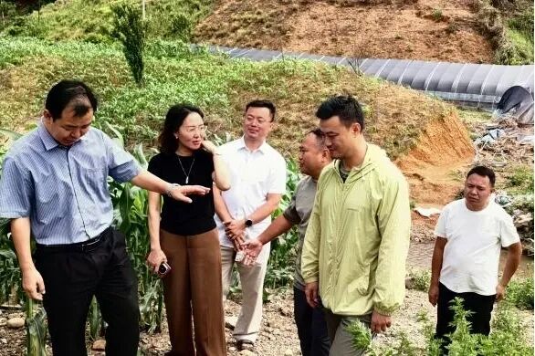毕莲院长一行在册亨县双江镇调研