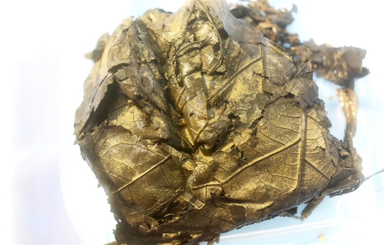 信阳城城阳城址八号墓出土的植物包。 中国中医科学院中药资源中心供图