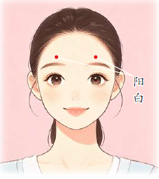 阳白