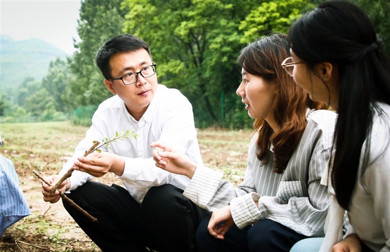 姜兴健调研连翘育种基地。郜雅昱摄