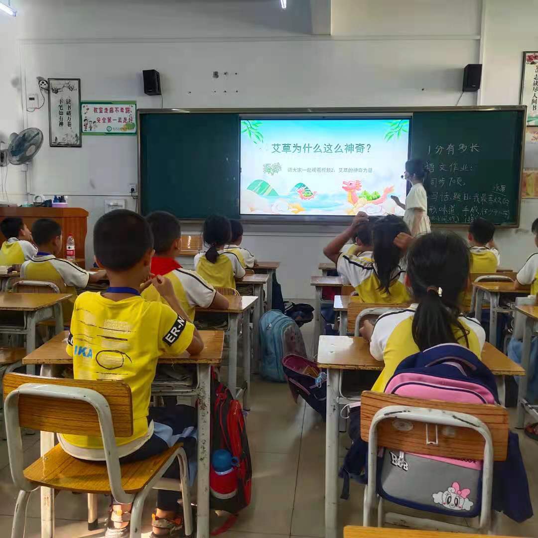 一年级教师讲解艾草的文化.jpg